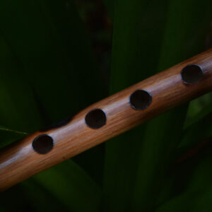 Carnatic Flute 101 - Carnatic