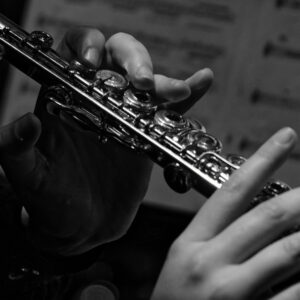 Metallic Flute 101