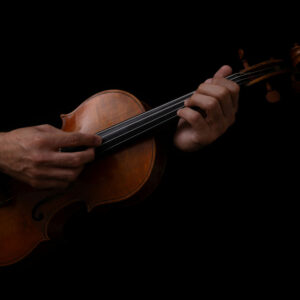 Viola 101