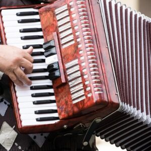 Accordion 101